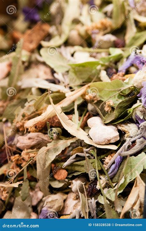 Jasmine tea leaves stock photo. Image of jasmine, drink - 158328538