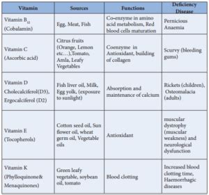 Biomolecules of Vitamins and Their Functions