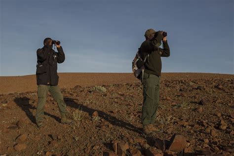 Namibia’s black rhino: In search of elusive creature | CNN