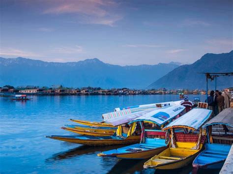 Kashmir Package (119946),Holiday Packages to Srinagar, Srinagar, Srinagar