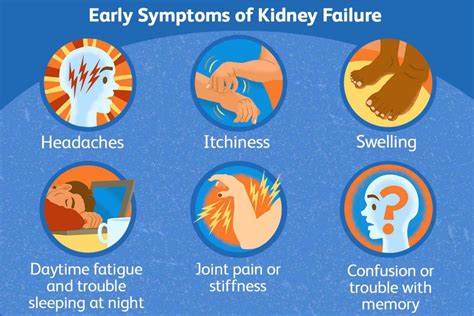 Acute Renal Failure Know its Causes, Symptoms, Diagnosis, Treatment, and Prevention