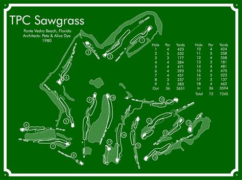 TPC Sawgrass is presented here with stunning quality, depth and gloss ...