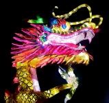 Chinese New Year Dragon Lantern Free Stock Photo - Public Domain Pictures
