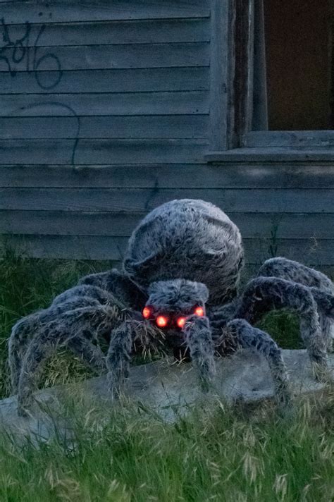 Halloween Spider Decorations, Pack Giant Hairy Spider Large Realistic Creepy Yard Decor For ...