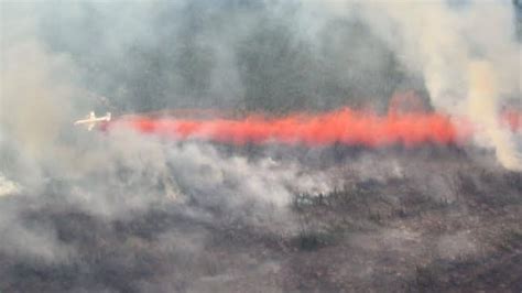 Yukon asks for help as forest fire starts far surpass all of last year | CBC News