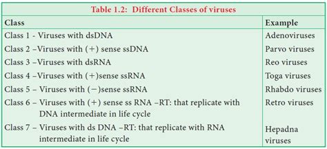 Classification of Viruses