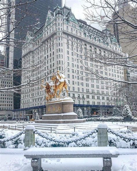 The Plaza Hotel | New york christmas, Nyc christmas, The plaza hotel nyc