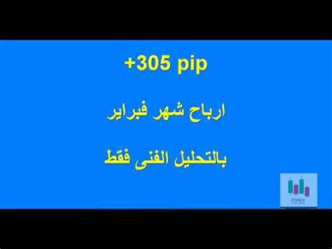 فوركس | الجرد الشهرى وارباح شهر فبراير 2019 على التحليل الفنى - YouTube