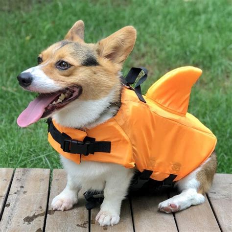 Ardorlove Dog Life Jacket Shark Dog Life Vest for Small Medium Pet Dog Lifesaver Preserver Cold ...