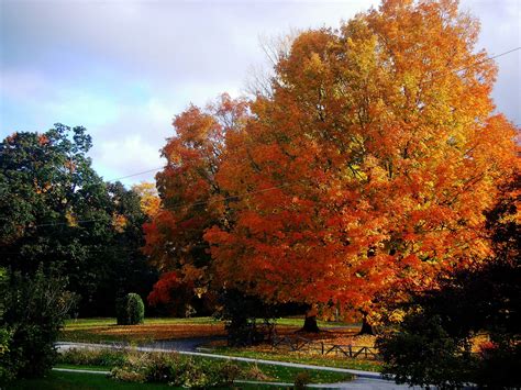 Autumn in Vermont :) | Autumn scenery, Autumn landscape, Secret garden