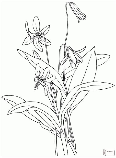 Violet Flower Drawing at GetDrawings | Free download