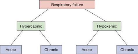 Respiratory Failure: An Overview | Thoracic Key