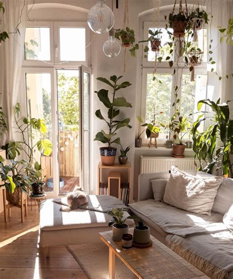 my scandinavian home: Search results for plants