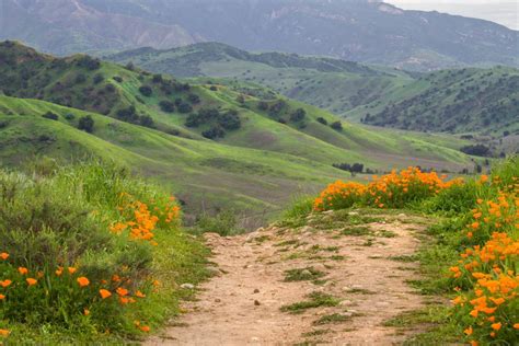 15 Best Things to Do in Chino Hills (CA) - The Crazy Tourist