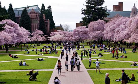 UW is No. 14 in the world | The University District