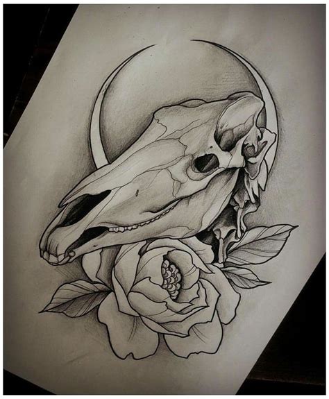 #horse #skull #drawing #horseskulldrawing great angle, I like the neck ...