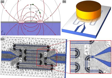 (a) Magnetic fields in the cross section of a coplanar waveguide ...