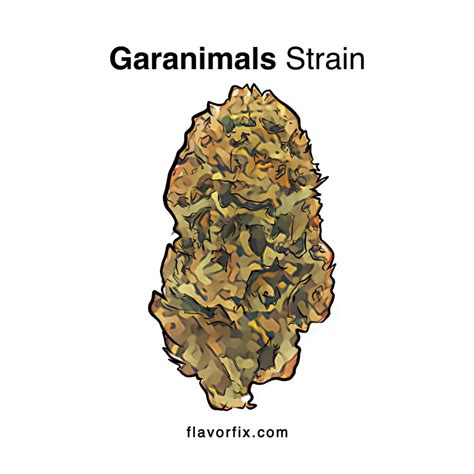 Garanimals Strain Info | Cannabis Strains List | Flavor Fix