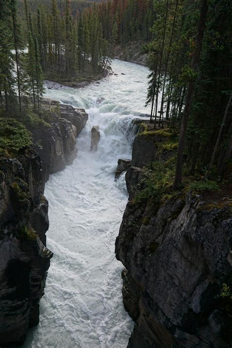 Sunwapta Falls - Sunwapta Falls - Jasper National Park - Road Trip Ryan