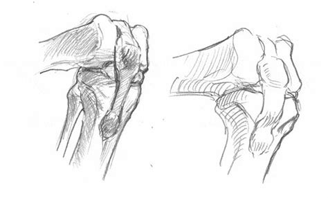 How to Draw the Knee, Bent, (and straight), Step-by-Step! | GVAAT'S WORKSHOP | Bone drawing ...