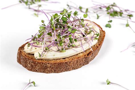 Sandwich with cream cheese and fresh microgreens - Creative Commons Bilder