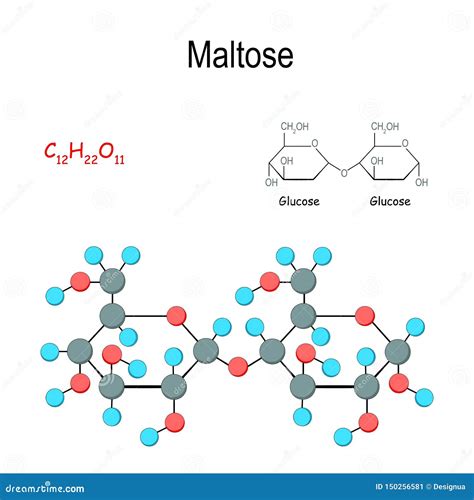 Maltose. Chemical Structural Formula and Model of Molecule Stock Vector - Illustration of ...