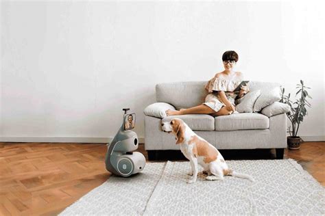 Robots for Your Pets—and More Questionably Useful Smart Home Tech From CES 2024