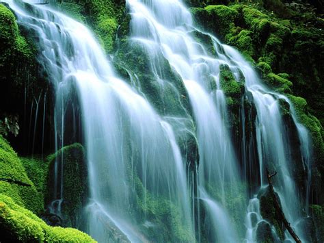 Nature Waterfall HD Wallpaper