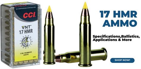 17 HMR Ammo: Specifications, Ballistics, Applications & More