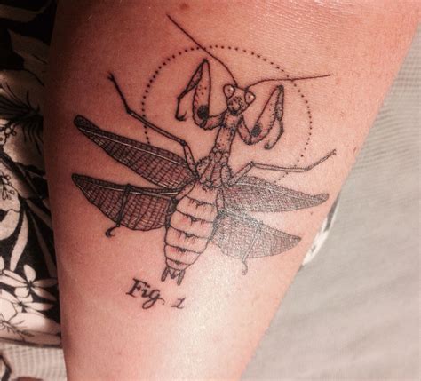 Scientific illustration Praying Mantis tattoo by Jasper at Seventh Day ...