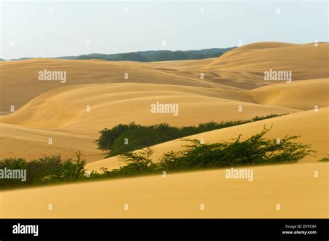 Sand dunes, Medanos de Coro National Park, near Coro, Falcon State ...