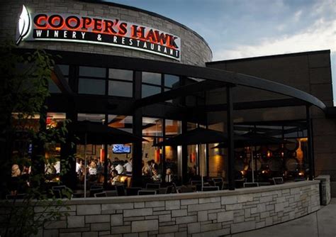 Cooper's Hawk - Naperville