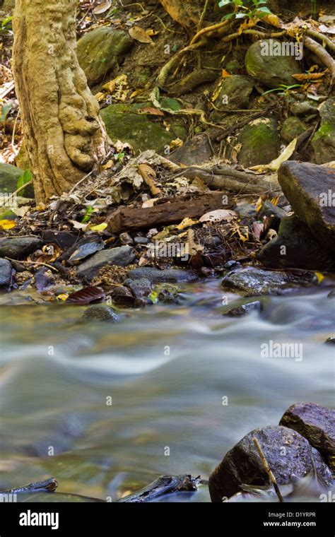 Natural Stream in the Area of Waterfall Stock Photo - Alamy