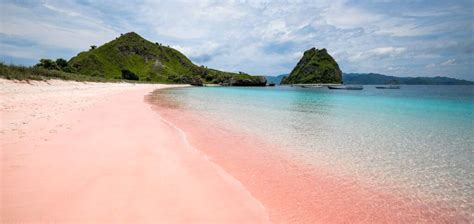 Visit Beautiful Pink Beach at Komodo Island