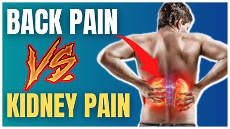 Kidney Pain vs Back Pain: Why Kidneys Hurt - YouTube