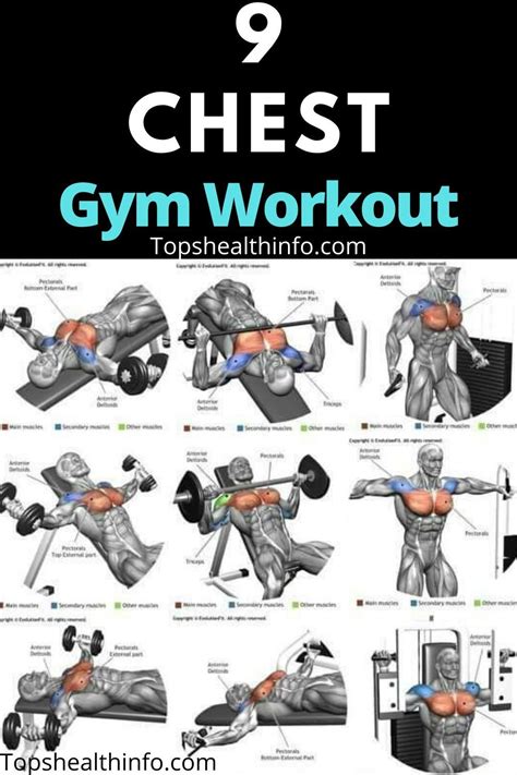 9 Chest Gym Workout | Gym workouts for men, Abs and cardio workout, Bodybuilding workout plan