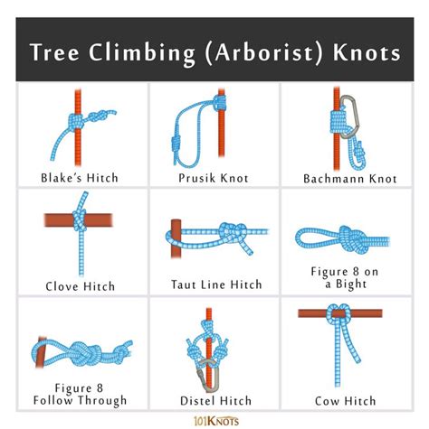 Rock and Tree Climbing Knots: Basic Guide with List | Climbing knots ...