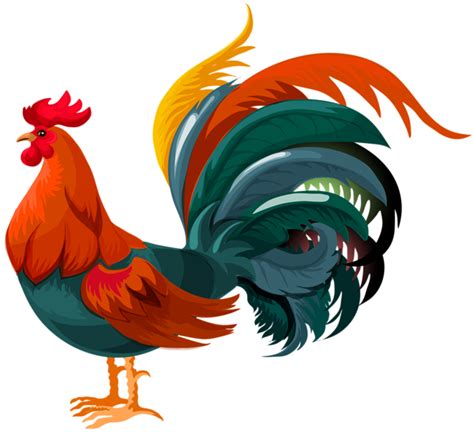 Rooster Transparent PNG Clip Art Image | Rooster illustration, Rooster ...