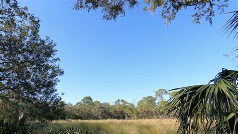 Swamp Critters Everywhere At This Florida Nature Park – Mellow Wanderer