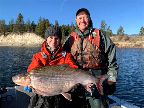 Walleye Fisherman Catches State-Record Lake Whitefish | Outdoor Life