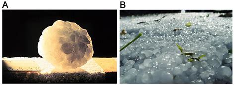 (A) Image of a 6 cm hailstone [National Severe Storms Laboratory (NSSL ...