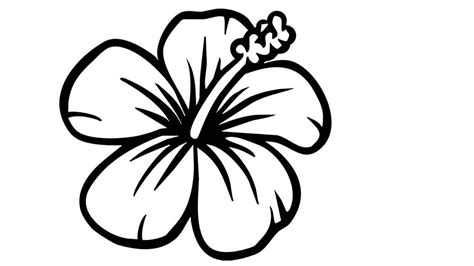 Hawaiian Flower Drawing | Free download on ClipArtMag