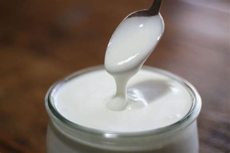 Goat's Milk Kefir (Using Easy Kefir) - Cultured Food Life