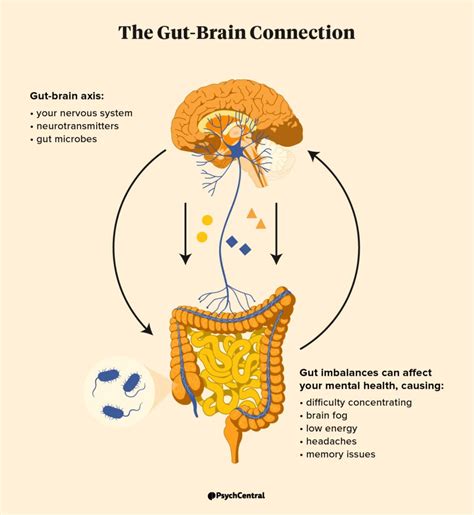 Gut Health and Depression: What’s the Link?