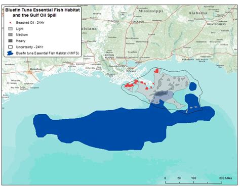 Bluefin tuna essential fish habitat and the Gulf oil spill