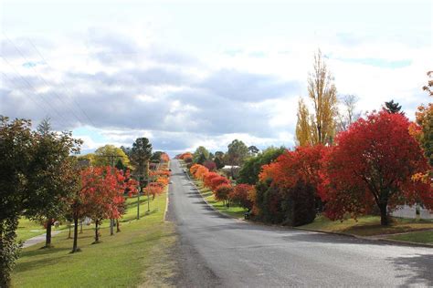 There are plenty of things to do and discover in Walcha, New South Wales.