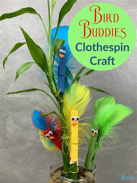 Super Cute Bird Buddies Clothespin Craft - Mom Does Reviews