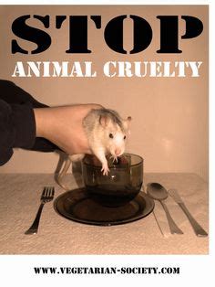 1000+ images about Stop animal cruelty! They can't help it! on Pinterest | Stop animal cruelty ...