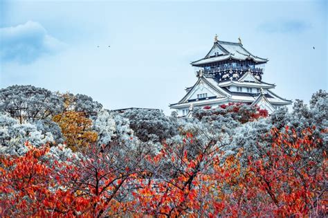 Premium Photo | Beautiful landmark osaka castle in winter