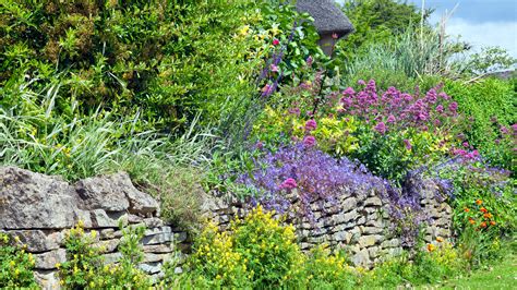 Plants for retaining walls: 12 ways to brighten your boundary ...